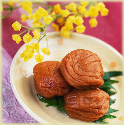 ���l�@�V���l�@�Z�p���@�����i�@�h�g�@���i�@���i���B�@�o�O�@�d�o���@���ٓ��@�����` �����i�@���q�l�A��