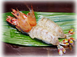 ���l�@�V���l�@�Z�p���@�����i�@�h�g�@���i�@���i���B�@�o�O�@�d�o���@���ٓ��@�����`